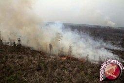Dua berkas tersangka pembakaran hutan dikembalikan jaksa