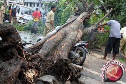 Kios   di "Taman remaja" rusak tertimpa pohon