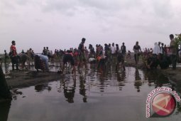 Istighatsah Salim Kancil Diakhiri dengan Penanaman Mangrove