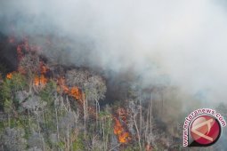 Siaga darurat kebakaran hutan Jambi segera diturunkan