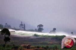 CO2 Capai Rekor Tertinggi Selama 30 Tahun