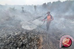 90 hektare lahan di Jambi sudah terbakar