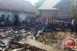 19 Kambing di Bojonegoro Mati Terbakar