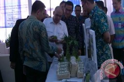 UKM Berperan Penting Dalam Perekonomian Nasional