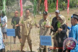 Sambas Bertekad Tingkatkan Produksi Dukung Upsus Pajale