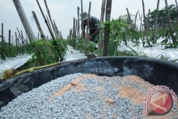Pemkab Tulungagung upayakan buka blokir jatah pupuk subsidi petani