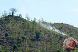 Kebakaran Lereng Argopuro
