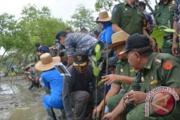 TNI AL Tanam 10 Ribu Bibit Mangrove di Pantailabu