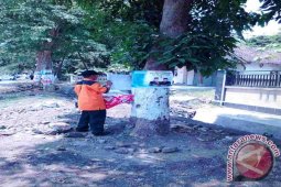 Panwaslu Jember Tertibkan 20.000 Bahan Kampanye Pilkada