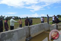 Bupati Abdya Tinjau Pembangunan Irigasi