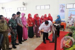 Pemkot Padangsidimpuan Canangkan Gerakan PKK-KB Kesehatan
