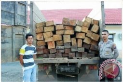 Pengangkut Kayu Ilegal Diamankan Polisi