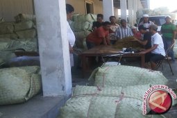 Sebagian Pabrikan di Pamekasan Simpan Tembakau Jawa