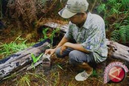 BPMPD Batanghari diminta selesaikan tapal batas desa