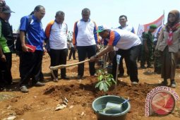 Wagub Tanam Pohon