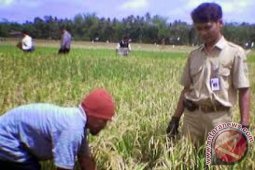 BKPPP Banten Tingkatkan PSK Penyuluh Dukung Swasembada