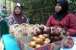 DPRD Bojonegoro Dukung Pengembangan Kawasan Agropolitan
