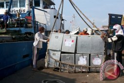 Distribusi Logistik Pilkada ke Pulau
