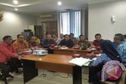 Peran Pemda Vital untuk Penuhi Kebutuhan Listrik