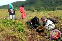 Pemkab Bangka Tengah Dorong Masyarakat Tanam Pohon