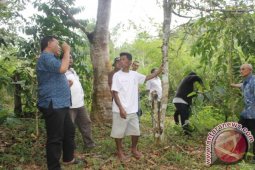Bupati Madina Harapkan Bantuan Pemerintah Pusat