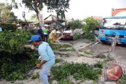 Kerugian Angin Kencang di Bojonegoro Capai Rp1,7 Miliar