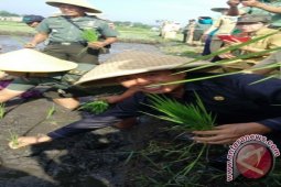 Distan Malang: Alih Fungsi Lahan Tantangan Terberat