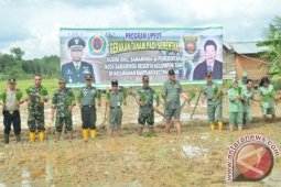 Pemkot-TNI di Samarinda Canangkan Gerakan Tanam Padi
