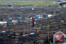DKP: Petani ikan terbeban dengan harga pakan