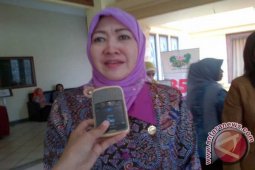 Jembatan Brawijaya Diperkirakan Dibangun Akhir 2017