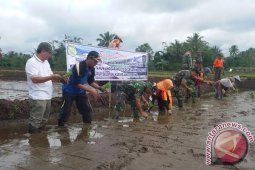 Rejanglebong pusat kegiatan tanam padi serentak