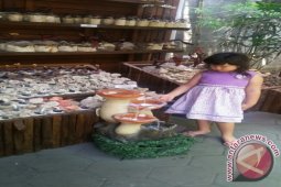 je-Jamuran "I will be back Again"