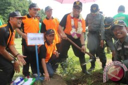 Tanah Bumbu Tanam 4.000 Pohon Dukung Wisata
