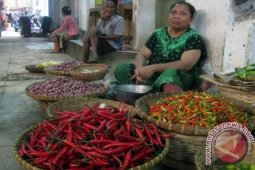 Harga Cabai di Jember Melambung Tinggi