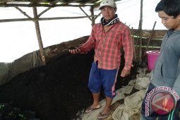 Petani Kembangkan Pupuk Organik Jaga Kelestarian Alam