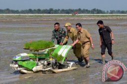 BAJAK SAWAH