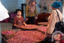 Harga Bawang Merah di Jember Masih Tinggi