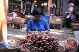Harga Bawang Merah di Jember Terus Merangkak Naik