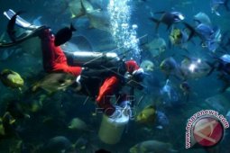 Pertunjukan Sinterklas Dalam Air