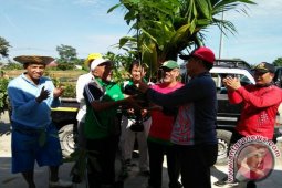 PDAM Bandarmasih Kembangkan Enau Di RTH