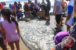 Bea Cukai Tanjung Perak Musnahkan Ikan Ilegal