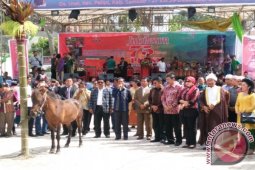 Plt Gubsu Ajak Perantauan Bangun Samosir