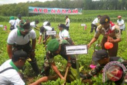 Perhutani-TNI Jember Tanam Pohon Untuk Penghijauan