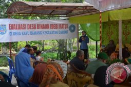 Debi Ratu Di Kayu Bawang