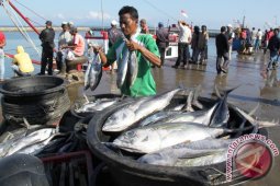 Desakan Pencabutan PP 75 Hasil Perikanan Berlanjut