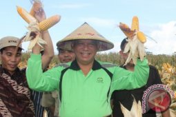 Ketahanan Pangan Turunkan Angka Kemiskinan
