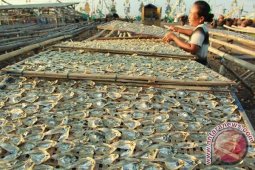 Harga Ikan Asin Turun