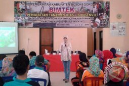 Bojonegoro Alokasikan Rp680 Juta untuk Pembibitan Bougenville
