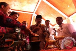 Gubernur Tinjau Rumah Majapahit