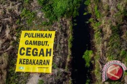 Wapres pimpin rapat terbatas terkait lahan gambut